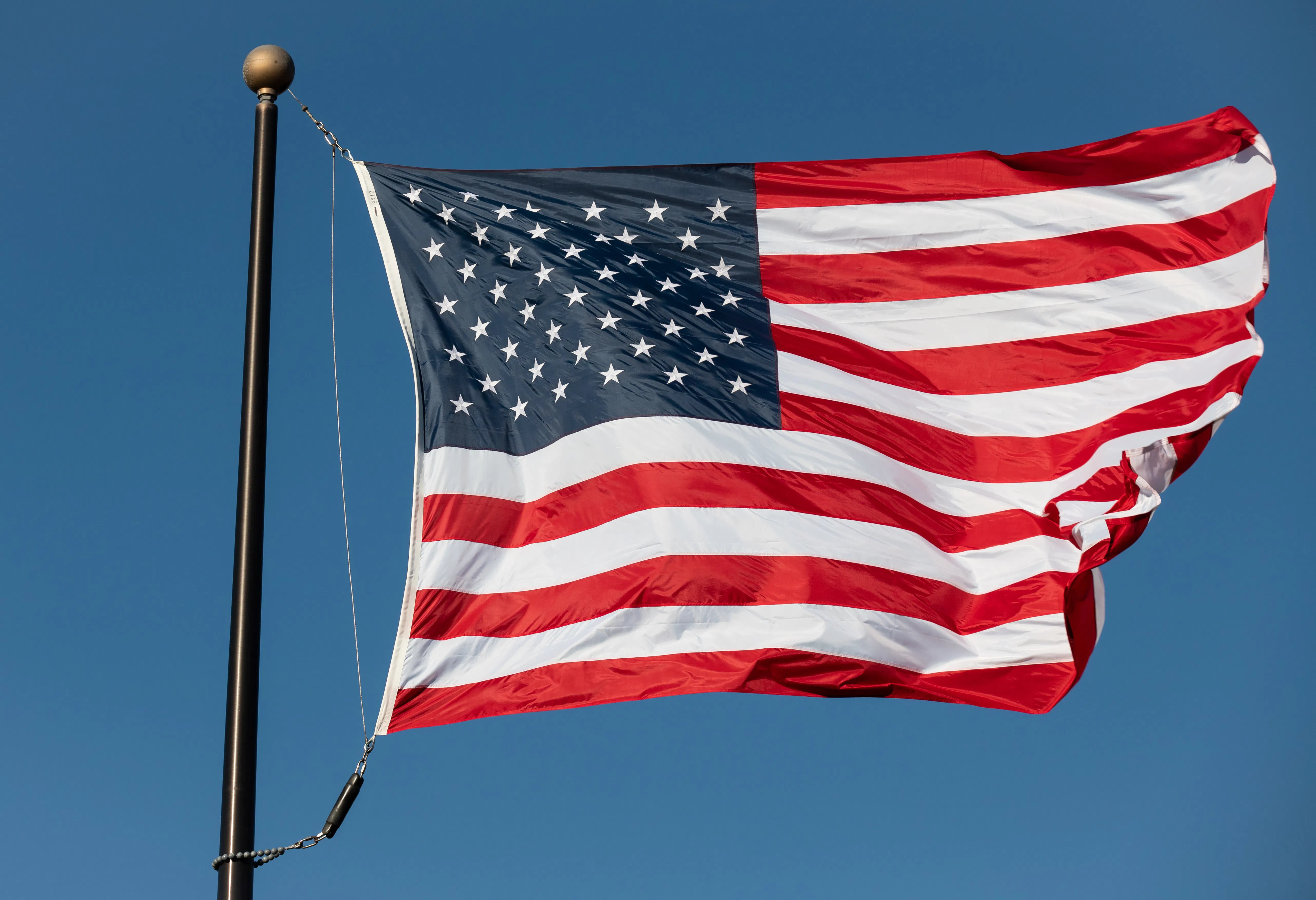 Scripps News poll: Americans excited to celebrate July 4, but divided on Trump's role - 1
