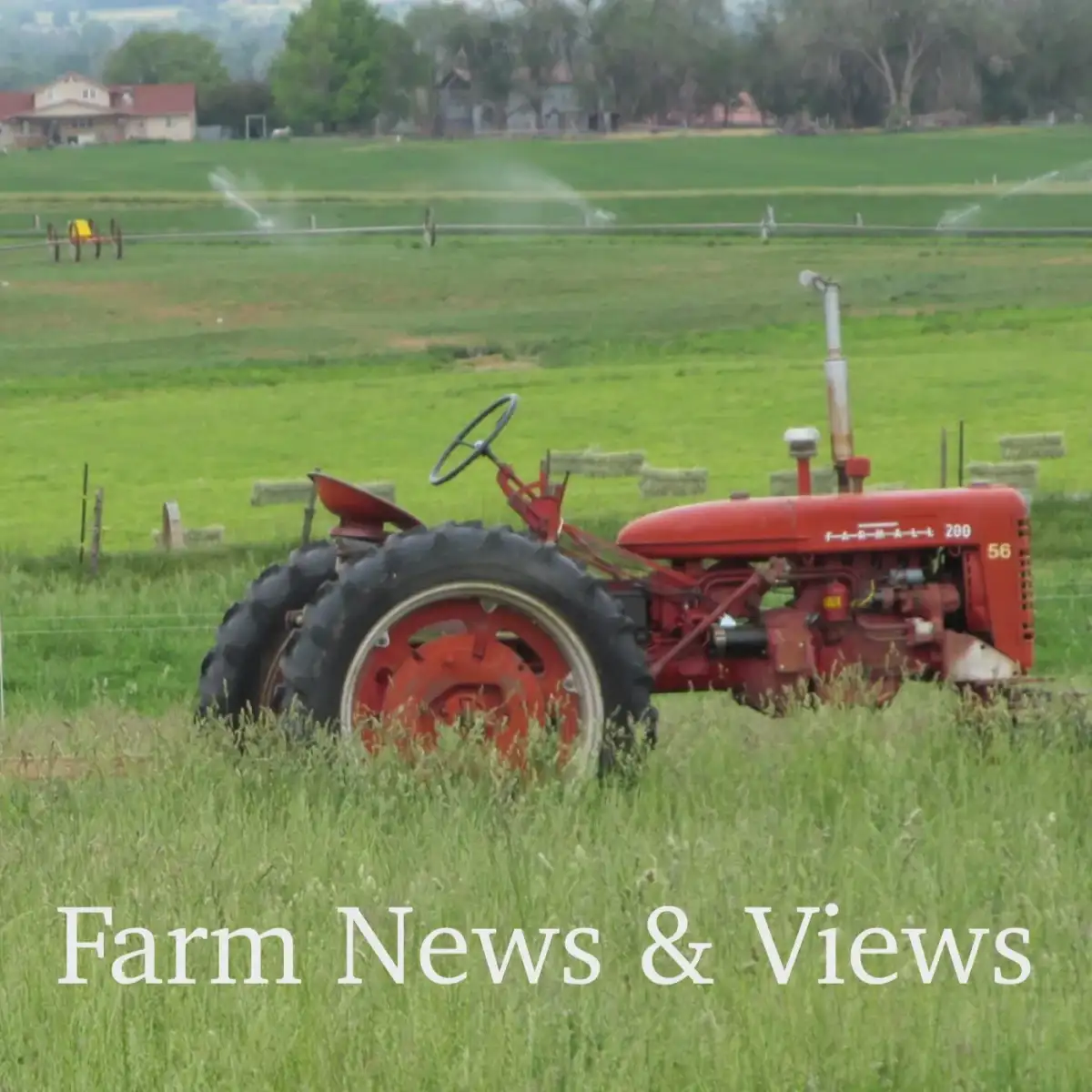 Nebraska ranchers struggle to recover from historic wildfires as drought worsens crisis - 4