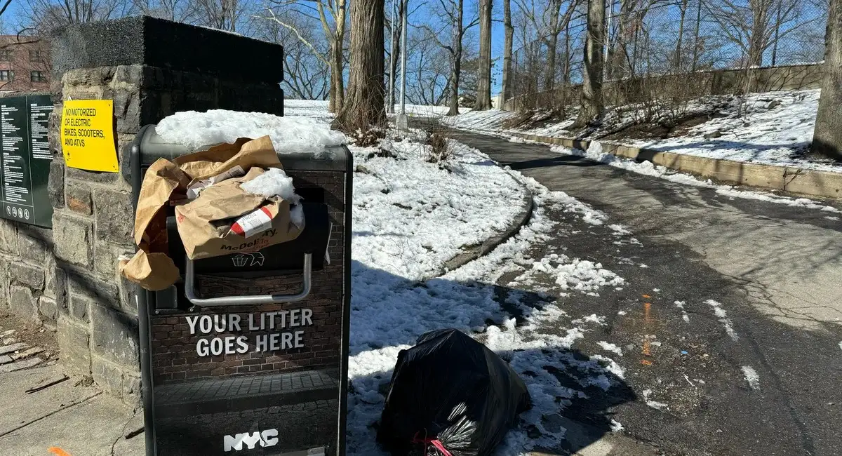 Mamdani’s Parks Department Pushes DEI Training While Cutting $33 Million - 1