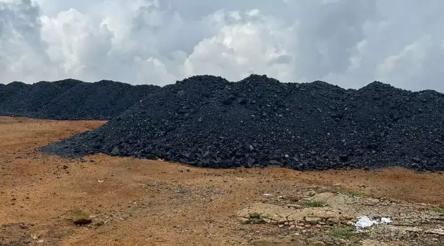 Meghalaya police told to hunt down financiers of illegal coal trade - 3