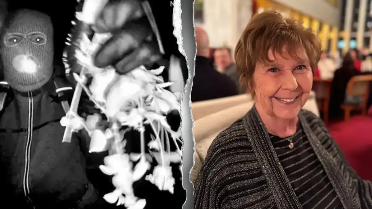 Nancy Guthrie's latest update: Possible pinky ring spotted in security footage as DNA search continues - 3