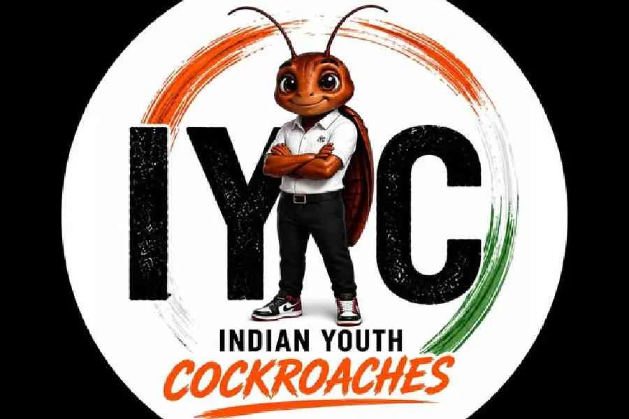 Congress silent, its allies come out in support of Cokcroach Janta Party’s protest - 3