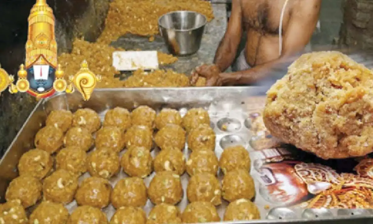Central agencies should probe hike in price of ghee being procured by TTD: Sajjala - 2
