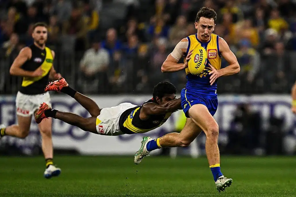 Hawks gun set to face MRO scrutiny in loss to Dogs; Dees take care of Tigers as lightning strikes twice - 4