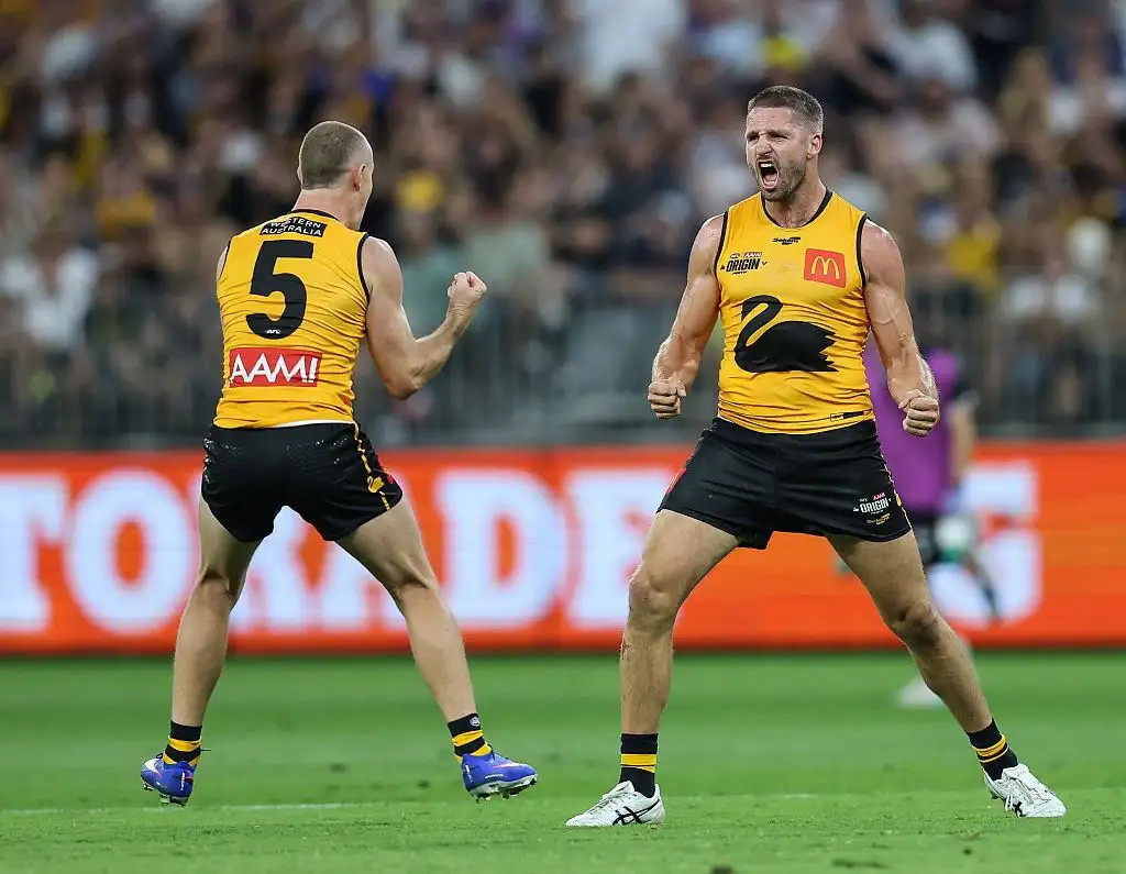 Stars call for AFL Origin to continue after Victoria beat WA but injuries still an issue - 1