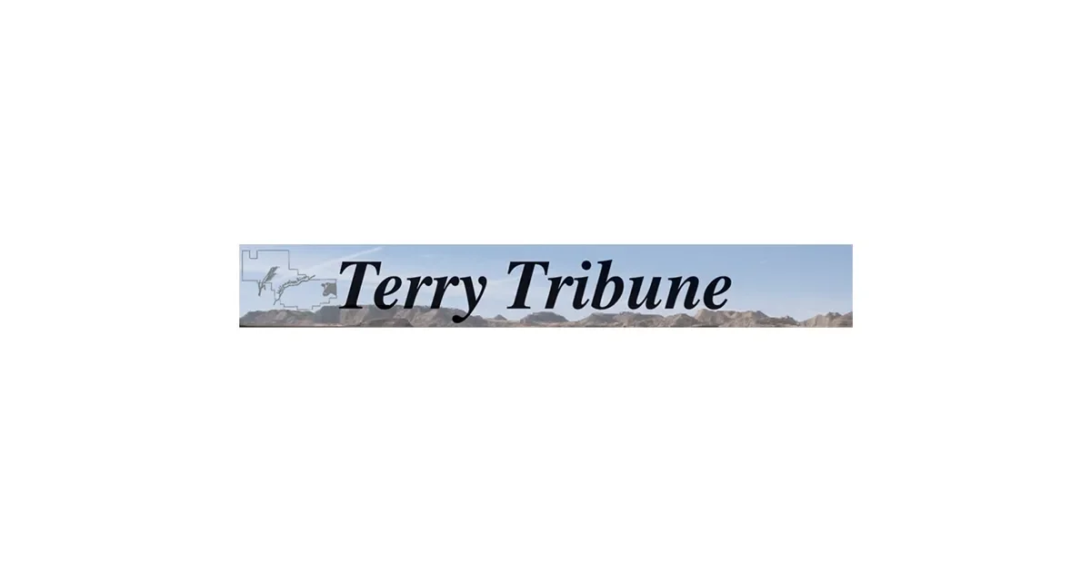 Letter to the editor: Progressive dark money influencing Republican politics - 2