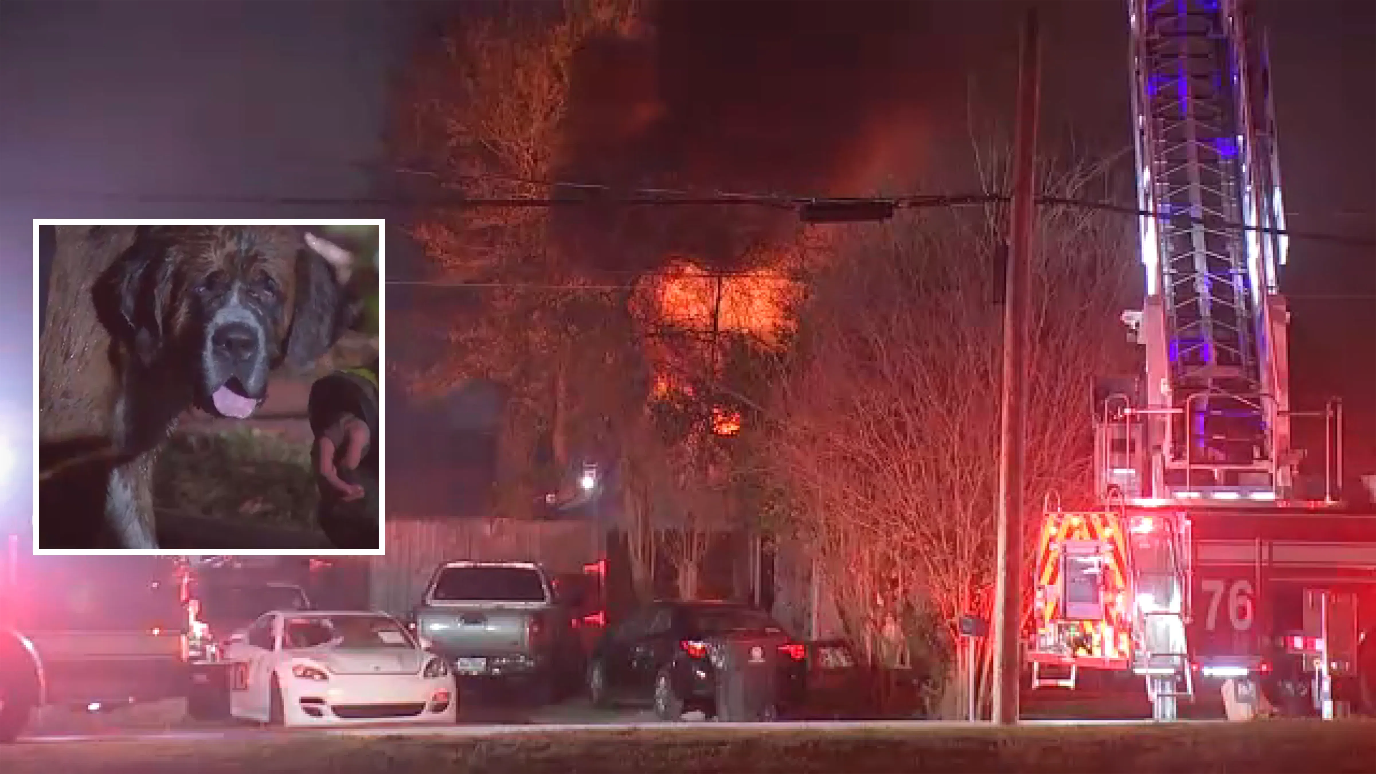 Dog rescued and school evacuated after house fire - 1