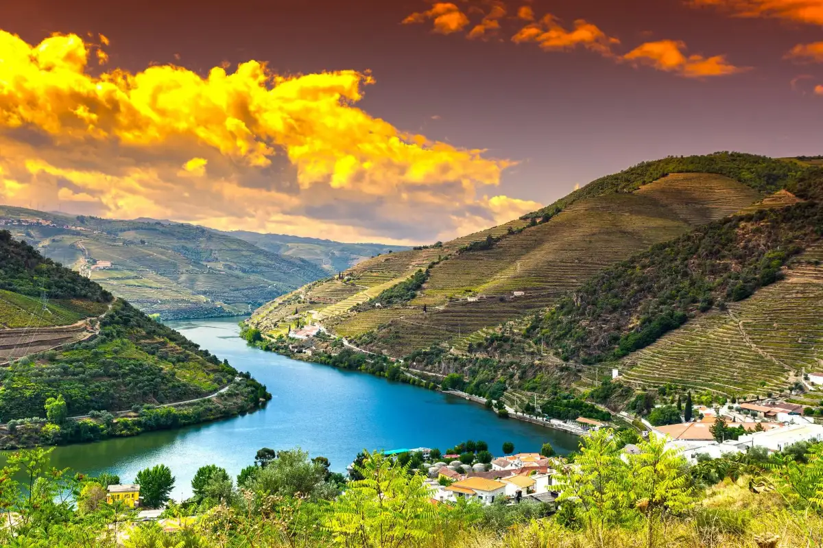 Portugal sets hottest May day record as Europe swelters in heatwave - 3