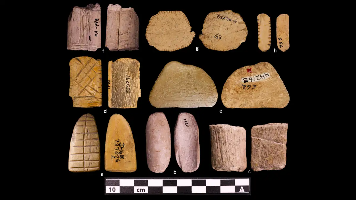 Caveman casino! Humans began gambling 12,000 YEARS ago, scientists say - as they discover ancient dice in the western Great Plains - 4