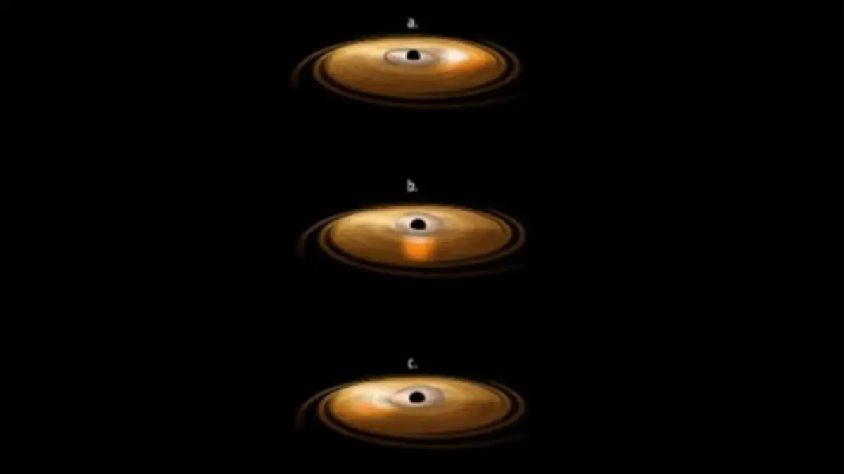 HKU Astrophysicists Contribute to Interpreting a Possible First-Ever Einstein Probe Observation of a Black Hole Tearing Apart a White Dwarf - India Education Diary - 3