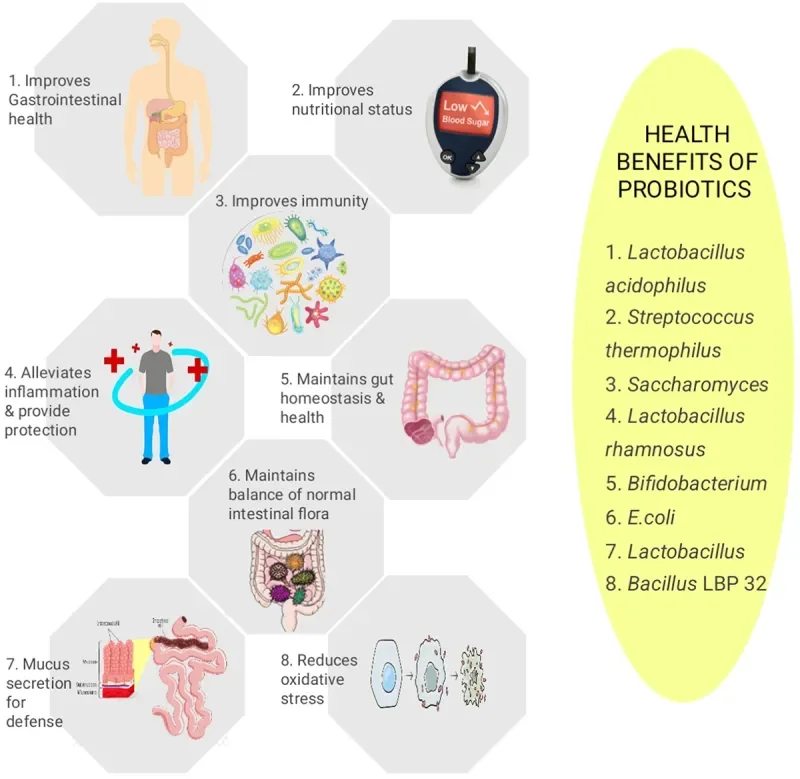 7 foods that improve gut health naturally​ - 3