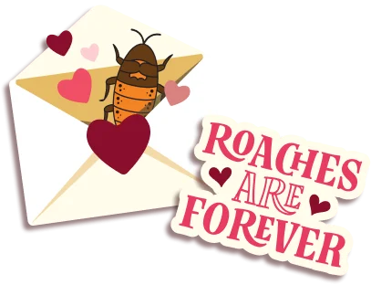 How to name a Madagascar hissing cockroach for Valentine’s Day at the Bronx Zoo - 2