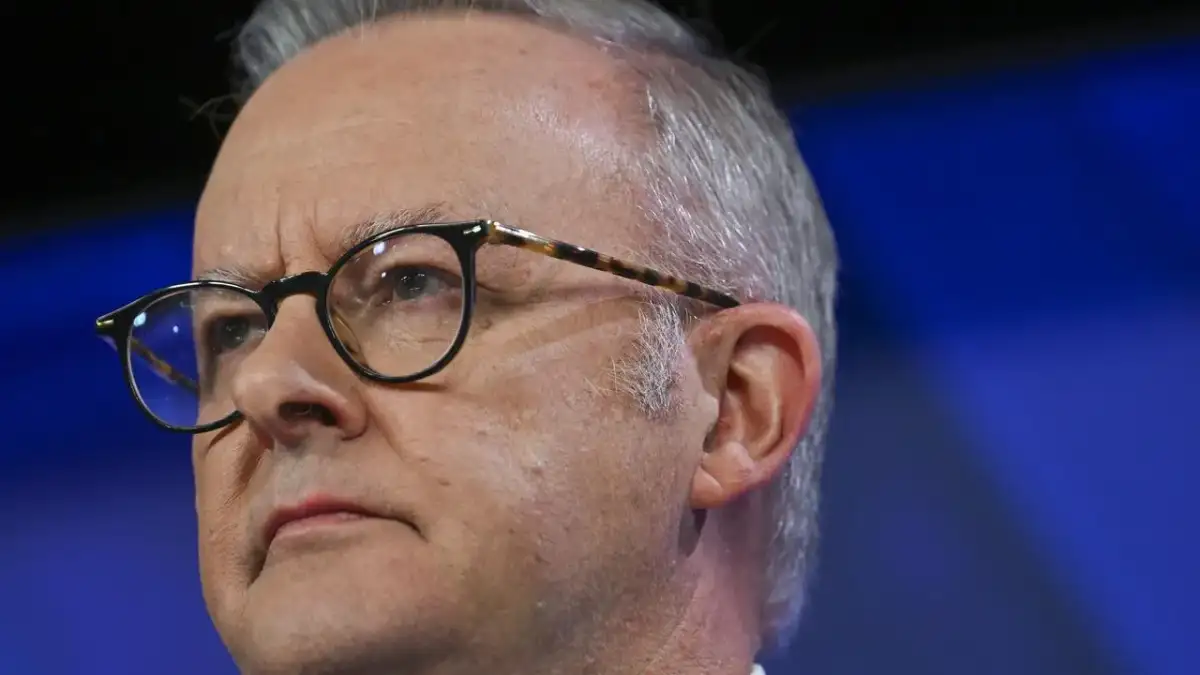Anthony Albanese sparks howls from MPs as he defends his property tax crackdown by bringing up how he grew up in housing commission to a single mum - 4