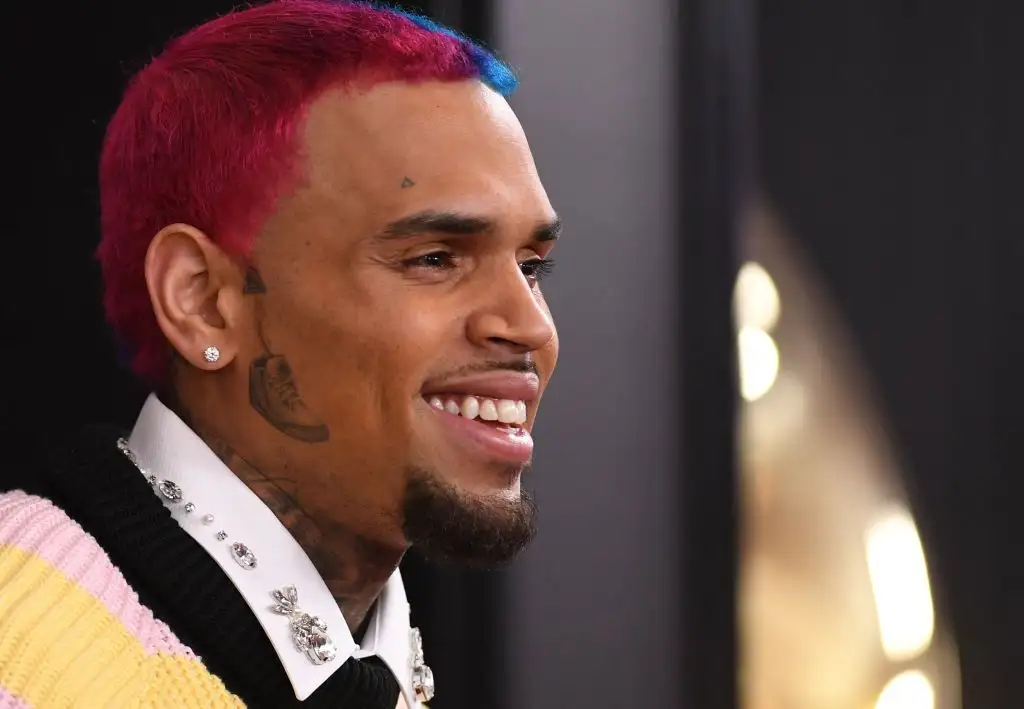 Chris Brown trying to block Rihanna assault and dog bite photos from being brought up in housekeeper lawsuit - 2