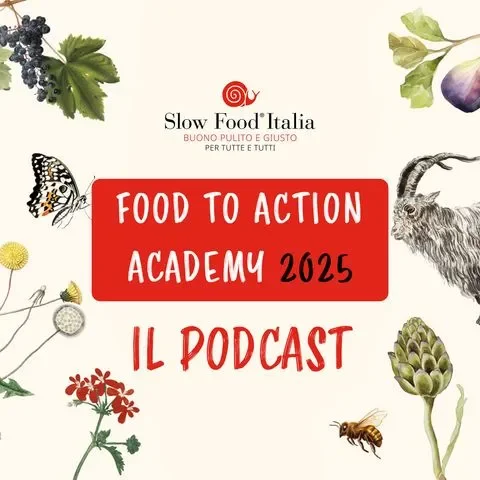 Che cosa possiamo imparare dalle api? - Slow Food - Buono, Pulito e Giusto. - 1