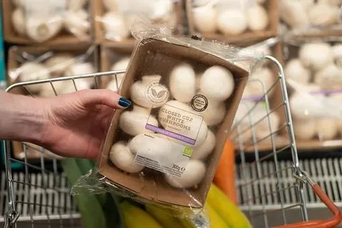 UK consumer sentiment takes a tumble; bad weather threaten fruit supplies but boosts Morocco’s wheat crop – business live - 1