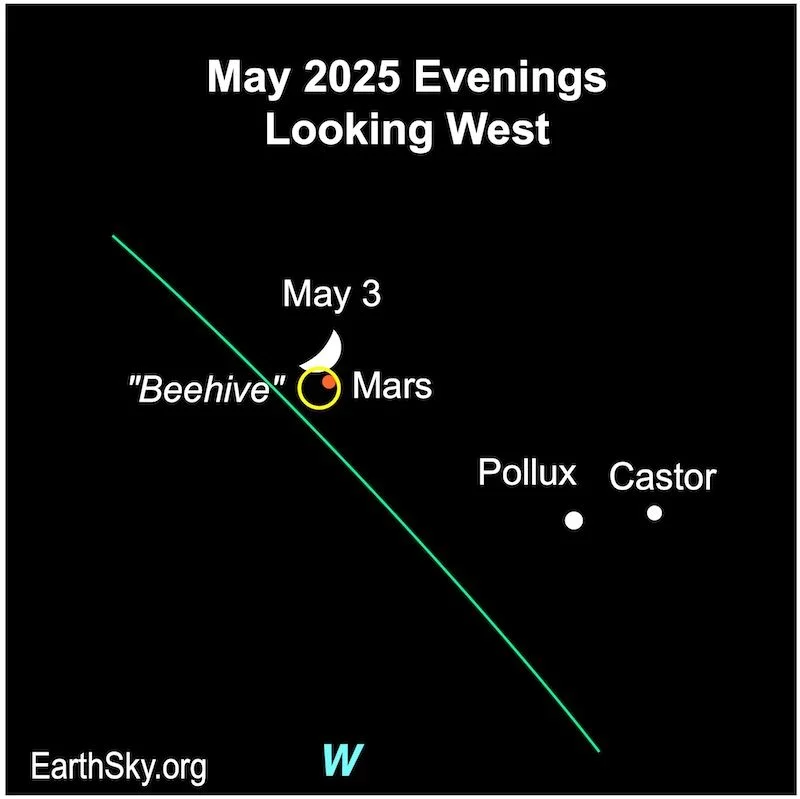 Starwatch: patience is needed to observe Cancer’s beehive cluster - 2