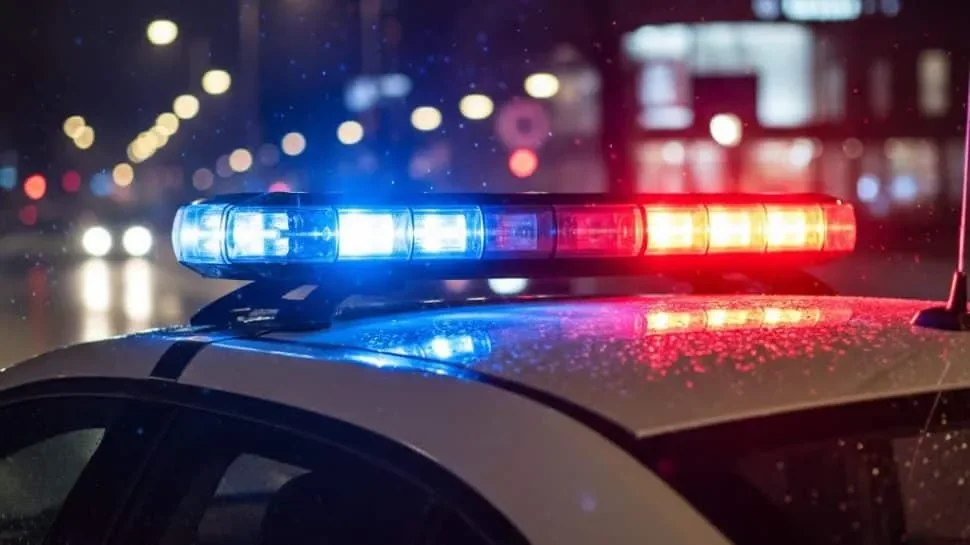 Wedding prep turns fatal: Speeding Audi runs over family distributing cards, kills 3 - 2
