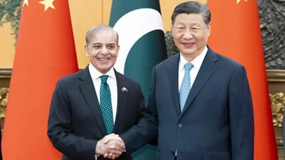 China rejected Pakistan's request for sea-based nuclear capability? Leaked files reveal why - 1