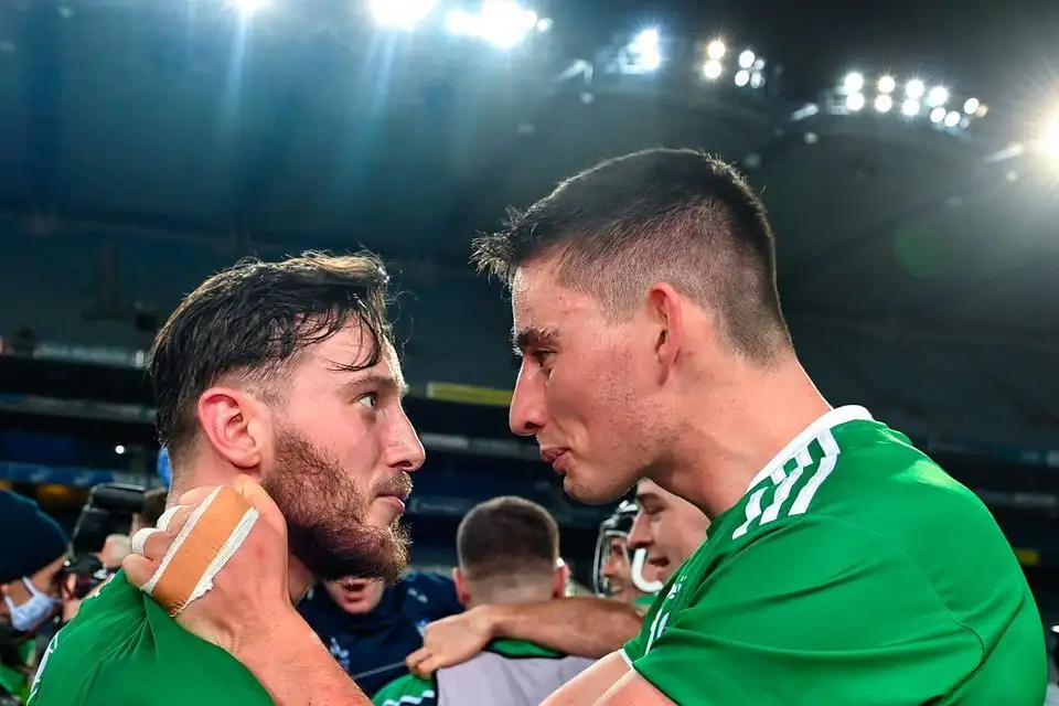 Player ratings: Hegarty and O'Donoghue power Limerick past Waterford - 1