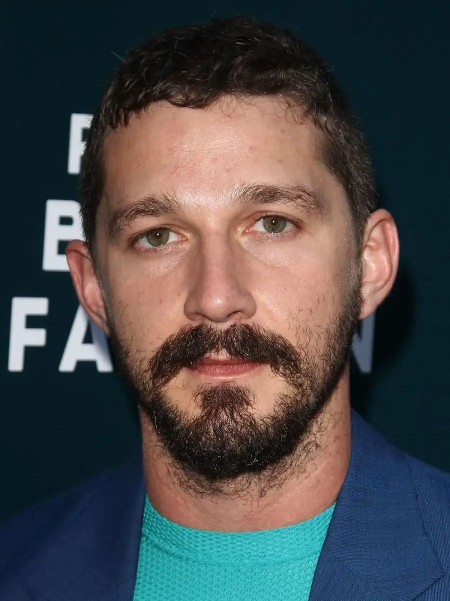 Shia LaBeouf takes plea deal in battery case - 1