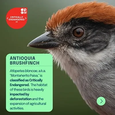Conservation genomics faces growing calls to center Indigenous knowledge and data rights - 1