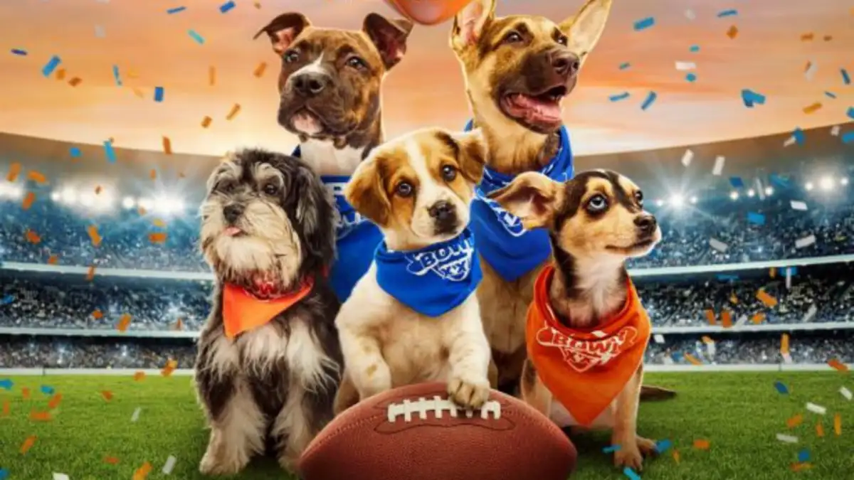 Cuteness Overload! How to Watch the 2026 Puppy Bowl - 2