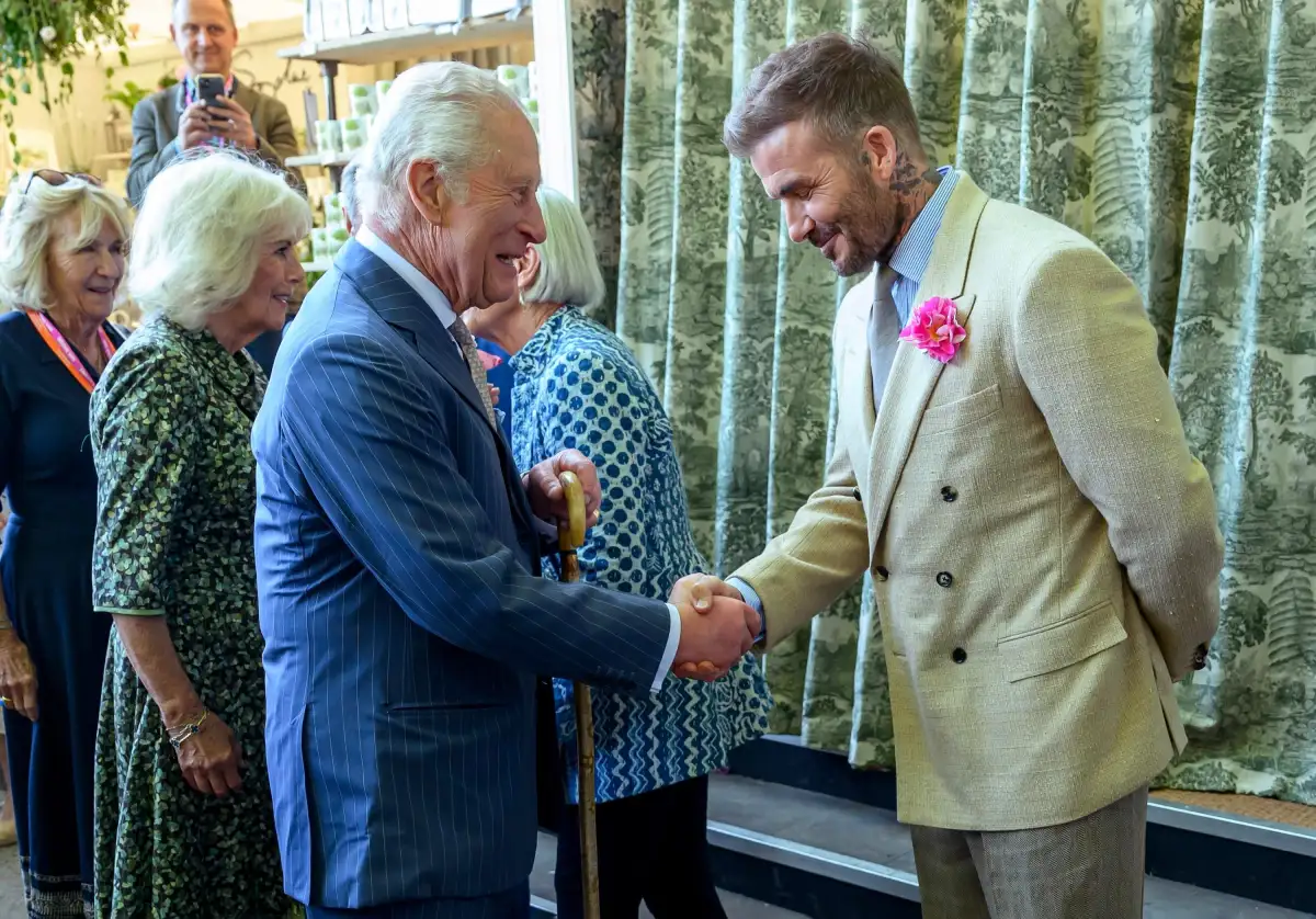 Chelsea Flower Show garden to ‘inspire curiosity’ gets royal seal of approval - 3