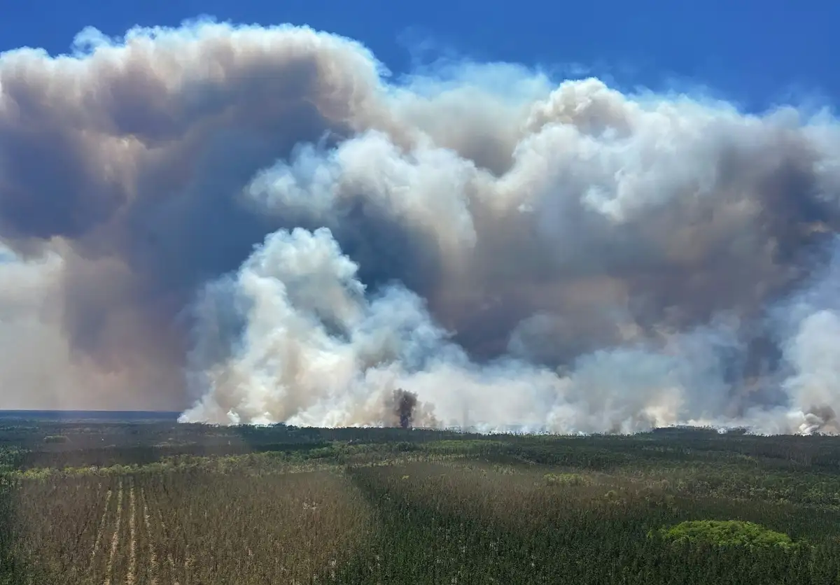 Growing Georgia wildfires have destroyed 120 homes, forcing new evacuations - 1