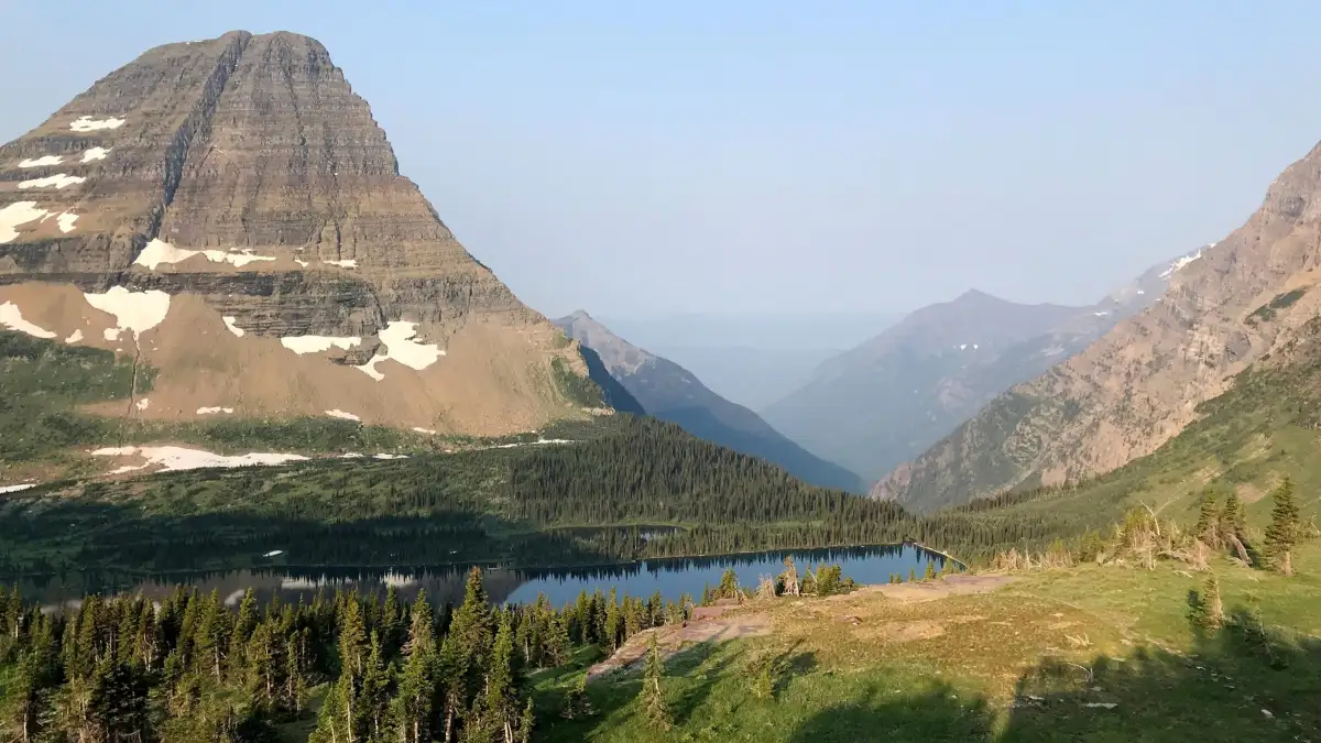 A bear may have killed a hiker in Glacier National Park. Here’s how to stay safe from animal attacks on the trail - 1