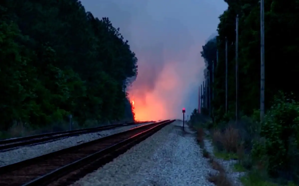 Growing Georgia wildfires have destroyed 120 homes, forcing new evacuations - 3