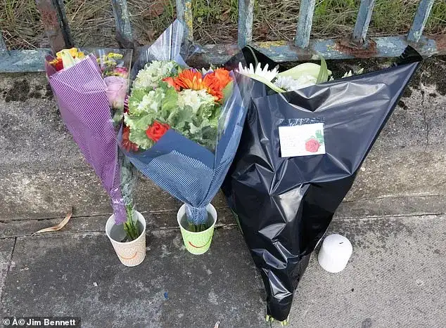 Two officers charged after pregnant woman and unborn baby killed in crash with Met police car - 3