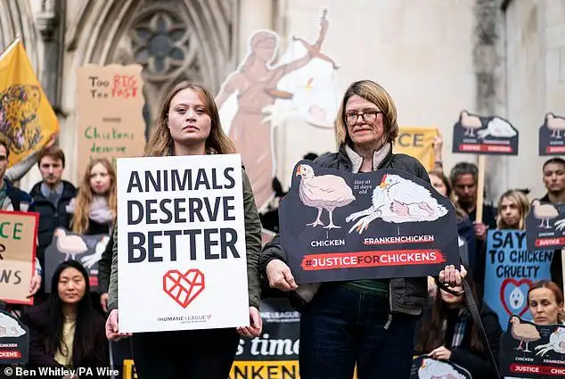 KFC, Nando's, and others ditch chicken welfare pledge - 2