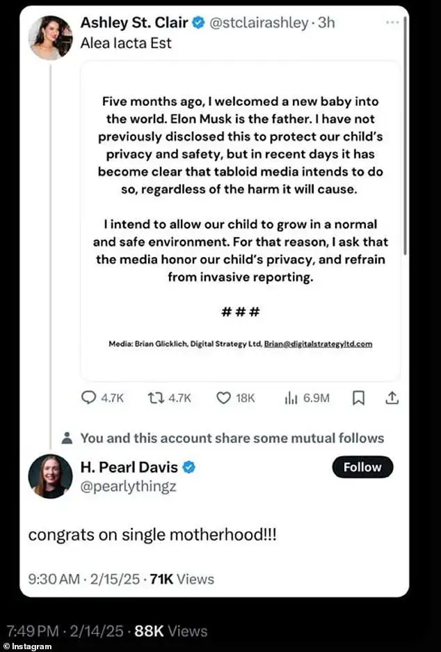 Is MAGA 'Fake, Staged and Coordinated'? Elon Musk's 'Baby Mama' Ashley St. Clair Claims Trump Used Secret Chats to Direct Influencers - 2