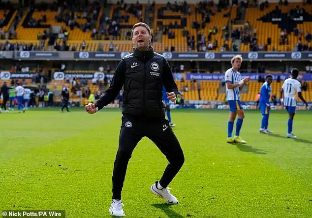 Brighton sweep aside Wolves to boost European hopes - 4