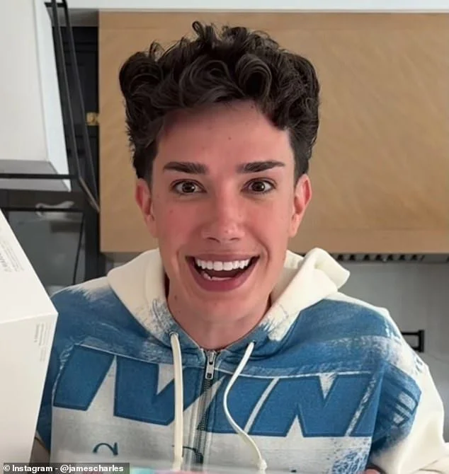 James Charles Under Fire for Mocking an Unemployed Woman Who Asked for Help in Deleted TikTok Rant - 2