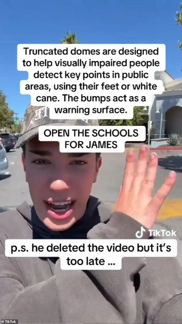 James Charles Under Fire for Mocking an Unemployed Woman Who Asked for Help in Deleted TikTok Rant - 1