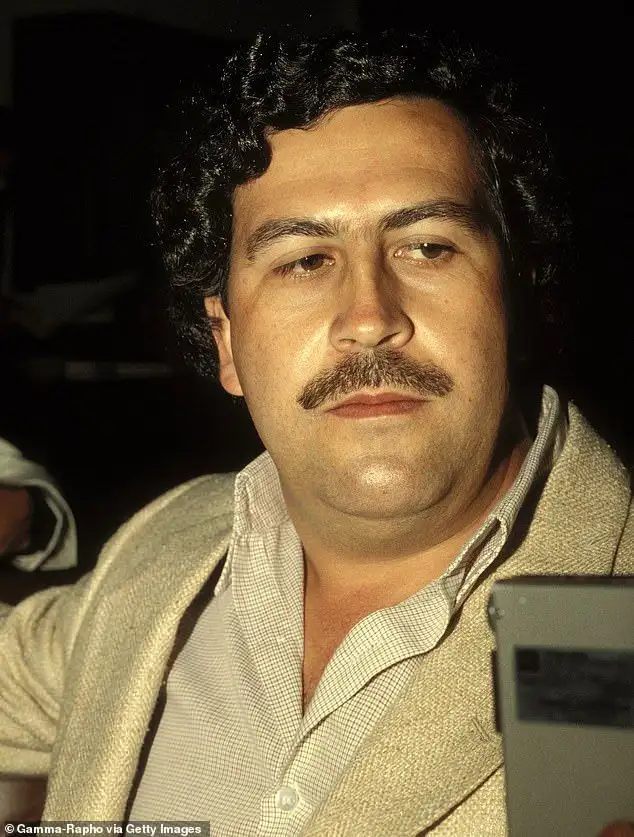 Fears all-day raves at Pablo Escobar's plane could become 'drug-fuelled' nightmare - 1