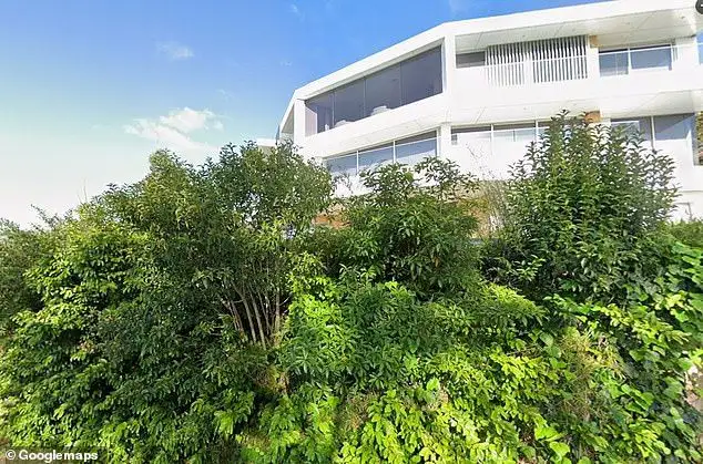 Dentist Thuy Huong Nyugen's battle with her neighbours over a tree in Kyle Bay, Sydney takes an unexpected twist as link to high-profile family emerges - 4