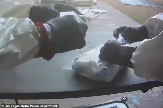It looks like an ordinary Airbnb. But after visitors fell 'deathly ill', cops made a horrific discovery in the garage... now fears grow of threats in other vacation hotspots - 3