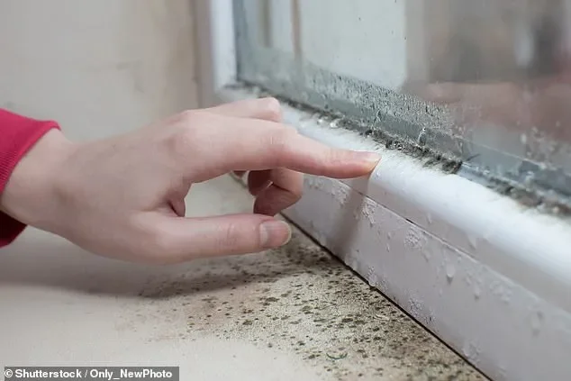 The locations in your home riddled with toxic mould - as new study confirms exposure as a child can cause serious lung issues all the way into adulthood - 4