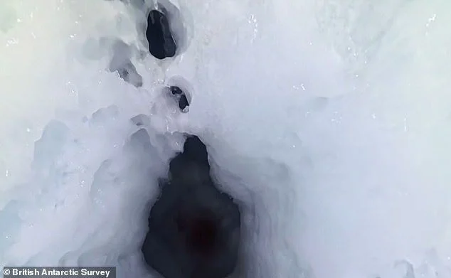Mission to drill into Antarctica's Doomsday Glacier ends in DISASTER: Key instruments become lodged in the ice - forcing scientists to abandon the project entirely - 2