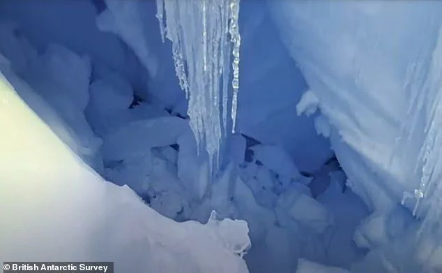 Mission to drill into Antarctica's Doomsday Glacier ends in DISASTER: Key instruments become lodged in the ice - forcing scientists to abandon the project entirely - 3