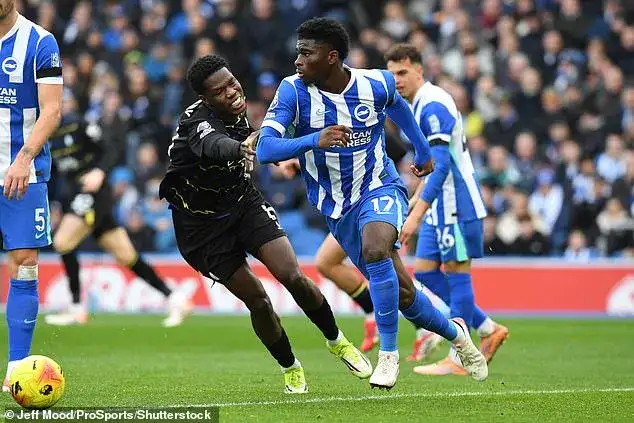 Brighton turn to MMA fighter to help defend set-pieces - as Fabian Hurzeler bids to shed Seagulls' 'too nice' image - 2