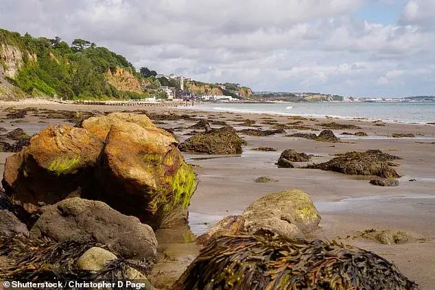 Seaweed: Experts explain why adding the iodine-rich slimy, salty, marine plant to your diet can do absolute wonders for your health - 1