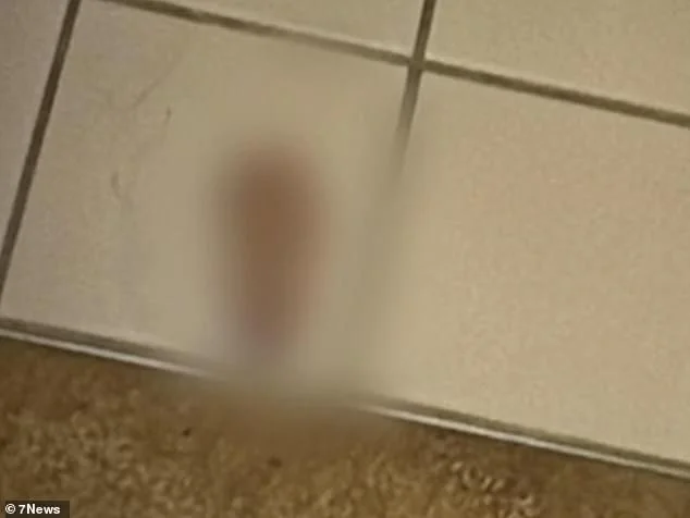 Horror update in kidnapping of innocent Sydney granddad - as he suffers one of the most barbaric acts imaginable at the hands of his kidnappers - 2