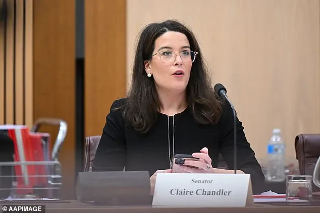 Australia news live: Jane Hume touts ‘young’ shadow cabinet as Jacinta Nampijinpa Price and Andrew Hastie return to frontbench - 1