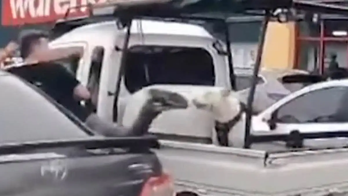 Man who allegedly kicked dog claims he came under attack - 1