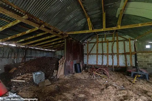 Six years ago Liam Farrell's bruised and bloodied body was found  lying dead at the back of his rural home. Since then, his family have fought in vain for justice. NOW at last they believe there may be on the verge of a real breakthrough - 3