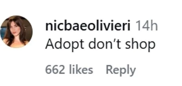 Kim Kardashian doubles down on puppy stunt slammed by PETA as fans wonder: 'Is this rage bait?' - 2